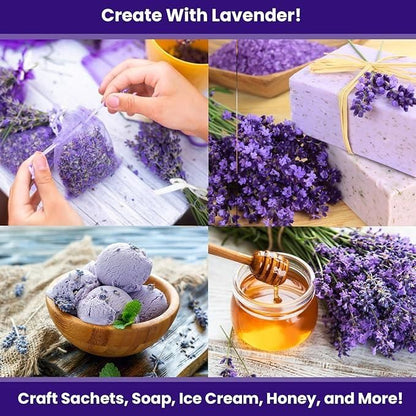 Lavender Seeds for Planting 350gm